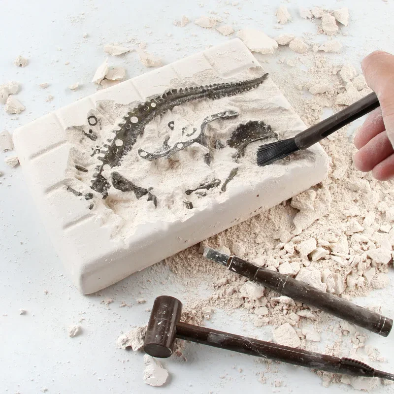 Dinosaur Excavation Fossil Arc - Model Kit Excavator บทวิจารณ์และราคา